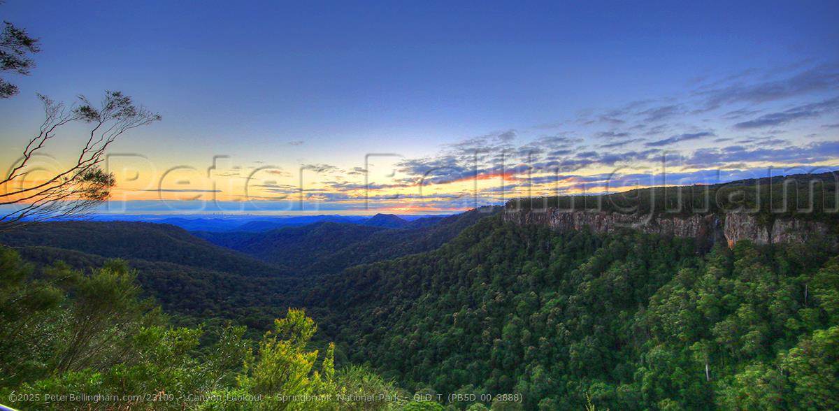 Peter Bellingham Photography Canyon Lookout - Springbrook National Park - QLD T (PB5D 00 3888)